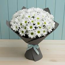 Букет цветов из:  Хризантемы в Джанкое